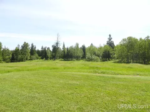 1378 Sa, Cornell, MI 49818 photo 28