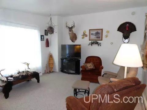 15 Cedar, White Pine, MI 49971 photo 5