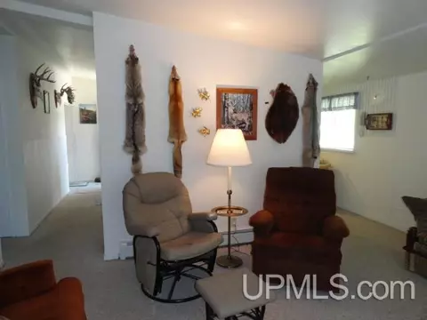 15 Cedar, White Pine, MI 49971 photo 7