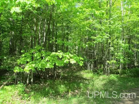 1305 Co Rd Ppr, Ishpeming, MI 49849 photo 30