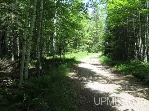 1305 Co Rd Ppr, Ishpeming, MI 49849 photo 21