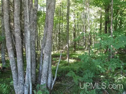 1305 Co Rd Ppr, Ishpeming, MI 49849 photo 20
