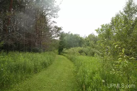 4021 D, Bark River, MI 49807 photo 16