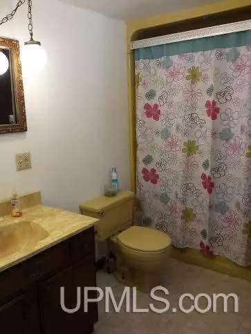 1020 Summit, Hancock, MI 49930 photo 18