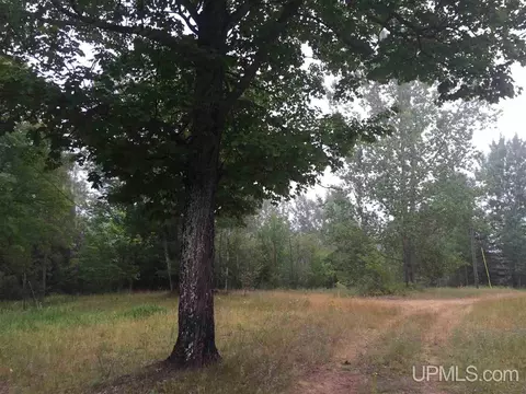 24370 Co Rd 581, Ishpeming, MI 49849 photo 27