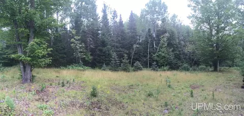 24370 Co Rd 581, Ishpeming, MI 49849 photo 28