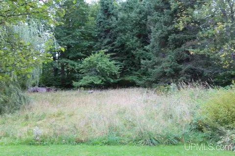 8233 E Ml, Ramsay, MI 49959 photo 20