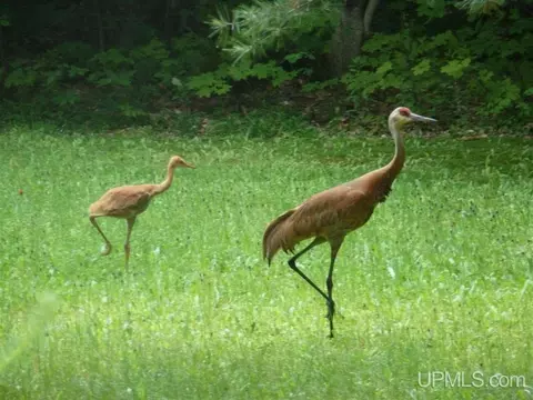 n7948 Koski Road, Munising, MI 49862 photo 25