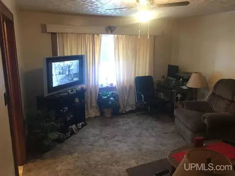 647 Iron, Ishpeming, MI 49849 photo 5