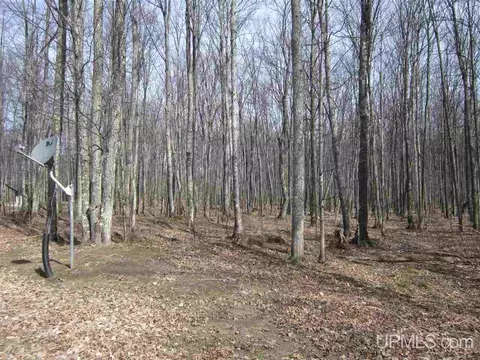 e12466 Olson Road, Shingleton, MI 49884 photo 12