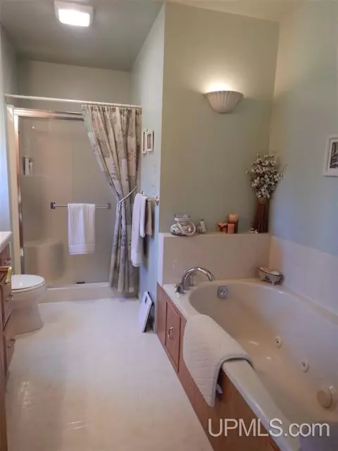 10026 I, Cornell, MI 49818 photo 5