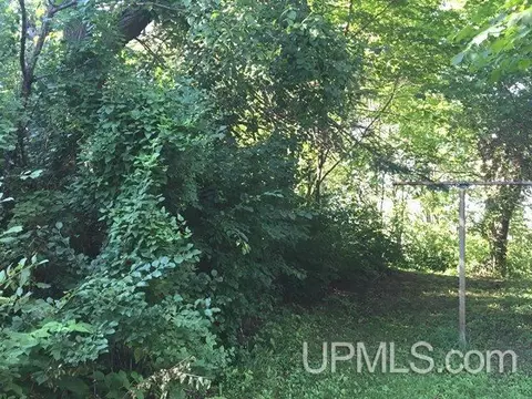 109 North, Wakefield, MI 49968 photo 9