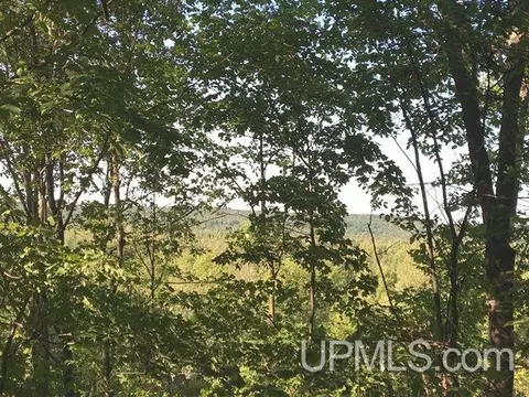 109 North, Wakefield, MI 49968 photo 13