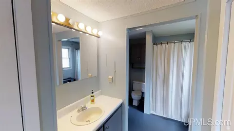 25 Twin Pnes, Ishpeming, MI 49849 photo 24