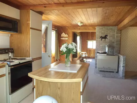 8818 Eagle Hbr, Mohawk, MI 49950 photo 9
