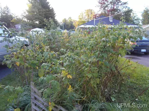 524 N Fourth, L'anse, MI 49946 photo 15