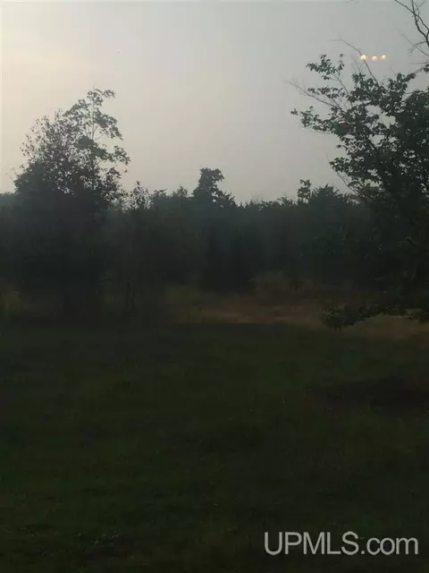9772 15th, Rapid River, MI 49878 photo 8
