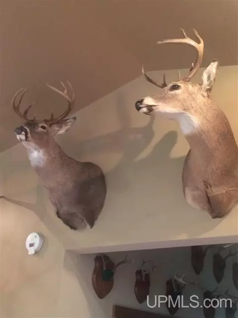 9772 15th, Rapid River, MI 49878 photo 3