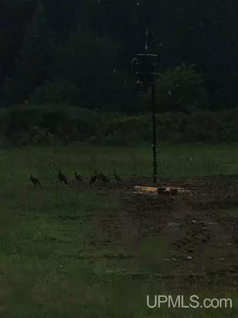 9772 15th, Rapid River, MI 49878 photo 14