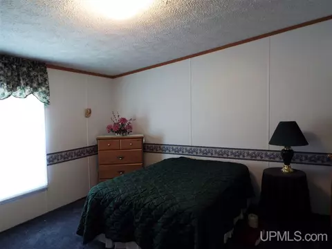 14920 33rd, Wetmore, MI 49895 photo 8