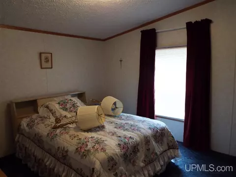 14920 33rd, Wetmore, MI 49895 photo 9