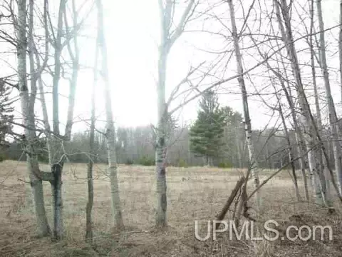 lot J North Entry, Chassell, MI 49916 photo 4