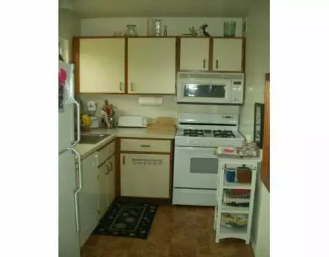239 N Maple, Saline, MI 48176 photo 4