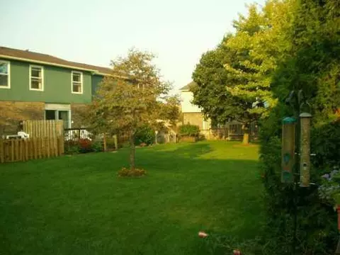 239 N Maple, Saline, MI 48176 photo 7