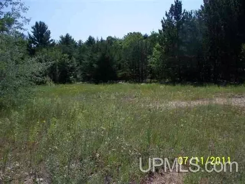 tbd Hilltop, Munising, MI 49862 photo 1