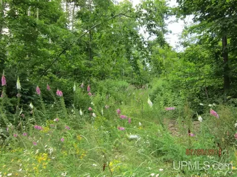tbd Old Golf Crse, Munising, MI 49862 photo 5
