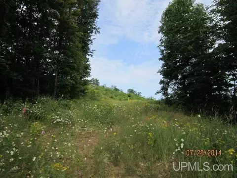 tbd Old Golf Crse, Munising, MI 49862 photo 10
