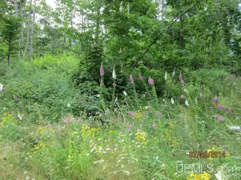 tbd Old Golf Crse, Munising, MI 49862 photo 9