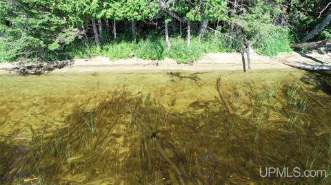 Tbd Sherman Lot 4, Germfask, MI 49836