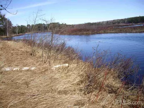 tbd River Vw, Au Train, MI 49806 photo 8