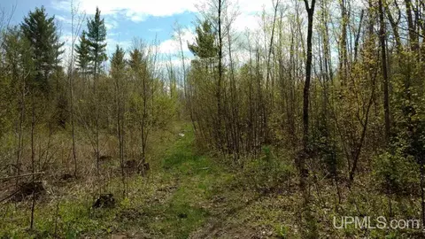 tbd Cooper Lk, Ishpeming, MI 49849 photo 2
