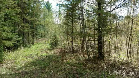 tbd Cooper Lk, Ishpeming, MI 49849 photo 1
