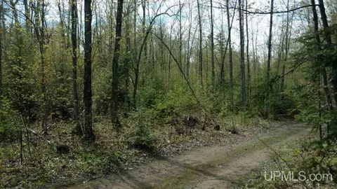 tbd Cooper Lk, Ishpeming, MI 49849 photo 3