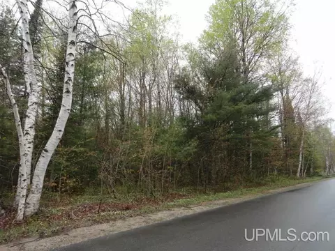 tbd Carmody, Munising, MI 49862 photo 5