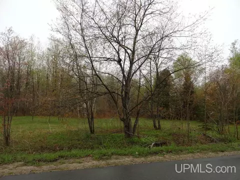 tbd Carmody, Munising, MI 49862 photo 3