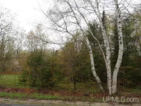 tbd Carmody, Munising, MI 49862 photo 4