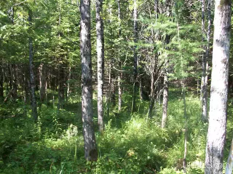 tbd Off 32nd, Rapid River, MI 49878 photo 3