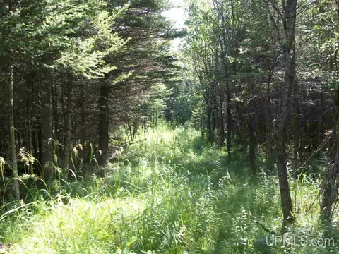 tbd Off 32nd, Rapid River, MI 49878 photo 4