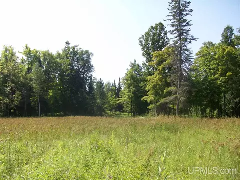 tbd Off 32nd, Rapid River, MI 49878 photo 6