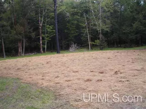 19043 Collins, L'anse, MI 49946 photo 9