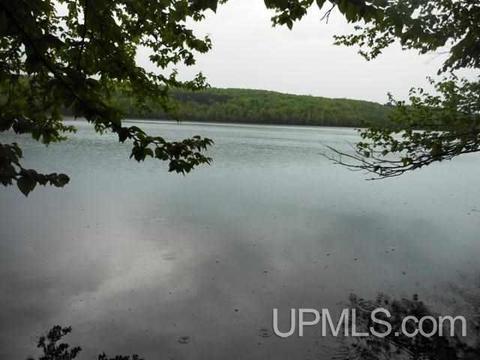 Tbd Kohon Rd, Crystal Falls, MI 49920