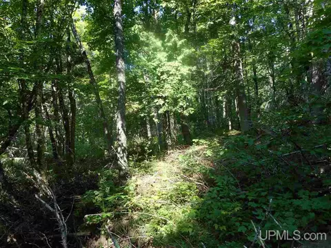 7507 Beaver Trl, Mass City, MI 49948 photo 9