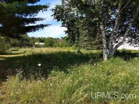 tbd Anthony, Hancock, MI 49930 photo 3