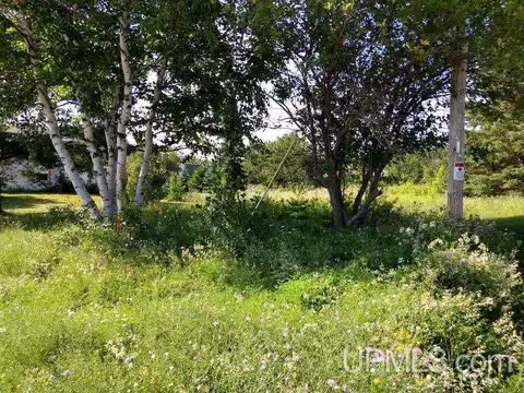 tbd Anthony, Hancock, MI 49930 photo 8