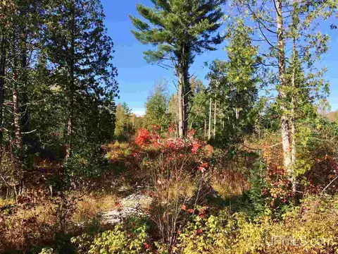 tbd Pole Line, Mohawk, MI 49950 photo 6