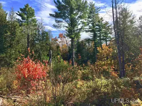 tbd Pole Line, Mohawk, MI 49950 photo 7